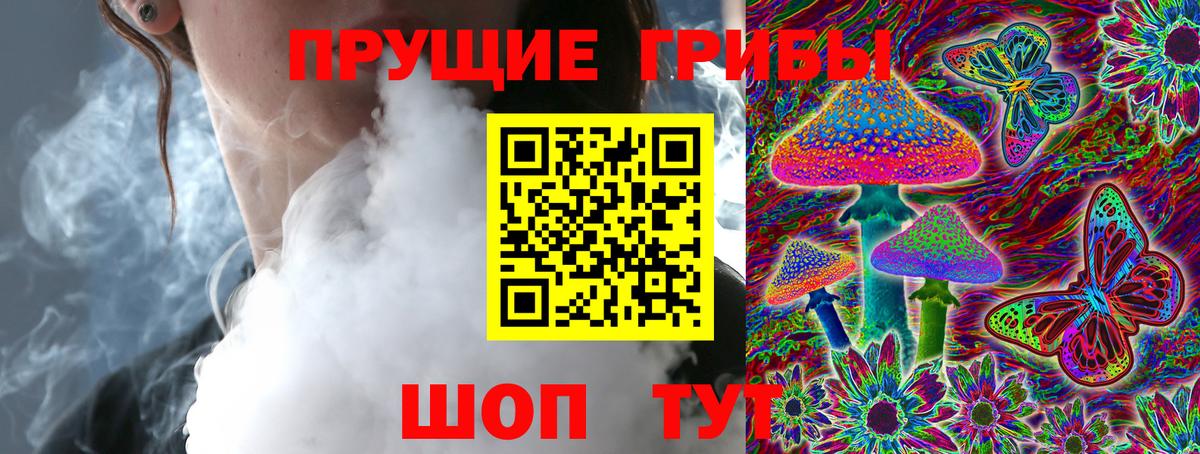 Сарапул  Псилоцибиновые грибы мицелий  Вход с VPN  Псилоцибиновые грибы Psilocybe 